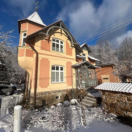 Apartmany Villa Magnolie Lipová-lázně Exterior foto